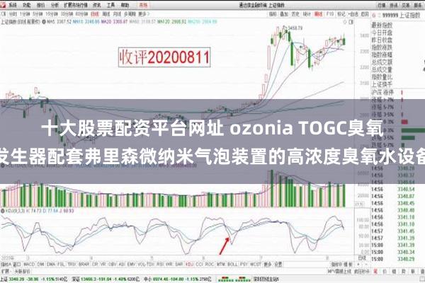 十大股票配资平台网址 ozonia TOGC臭氧发生器配套弗里森微纳米气泡装置的高浓度臭氧水设备