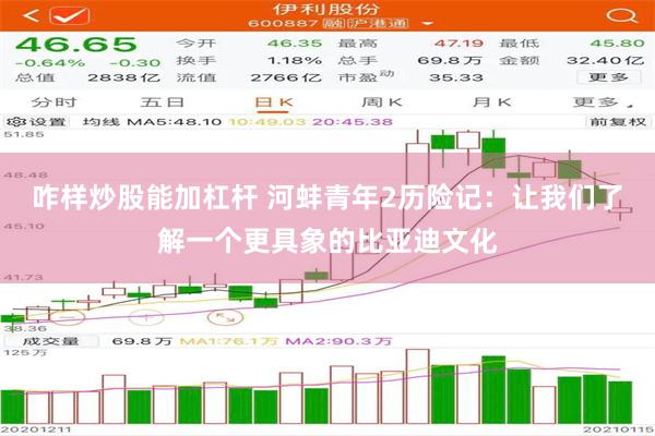 咋样炒股能加杠杆 河蚌青年2历险记：让我们了解一个更具象的比亚迪文化