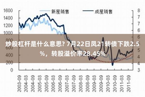 炒股杠杆是什么意思? 7月22日凤21转债下跌2.5%，转股溢价率28.45%