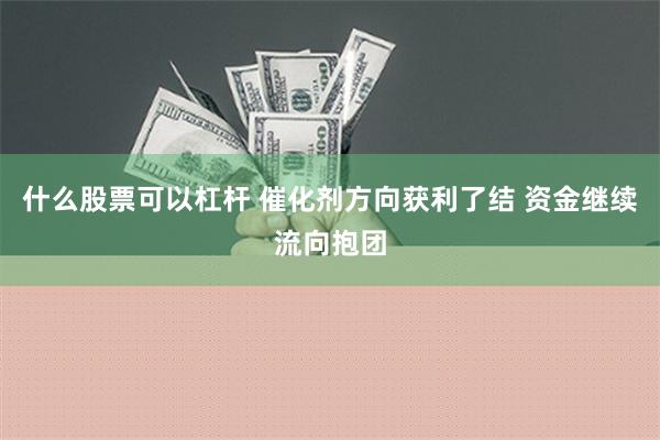 什么股票可以杠杆 催化剂方向获利了结 资金继续流向抱团