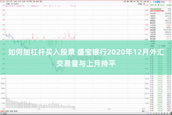 如何加杠杆买入股票 盛宝银行2020年12月外汇交易量与上月持平