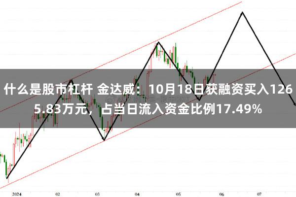 什么是股市杠杆 金达威：10月18日获融资买入1265.83