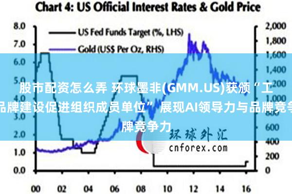 股市配资怎么弄 环球墨非(GMM.US)获颁“工业品牌建设促进组织成员单位” 展现AI领导力与品牌竞争力