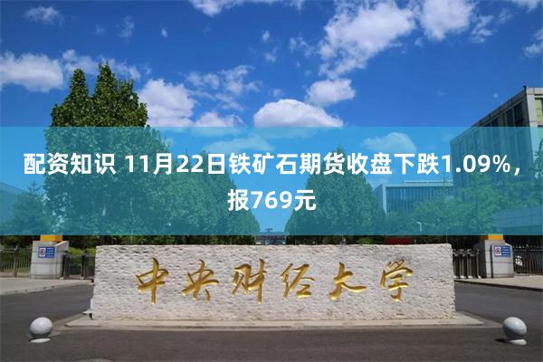 配资知识 11月22日铁矿石期货收盘下跌1.09%，报769元